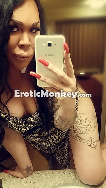 budapest male escort tulsa ok escort guide